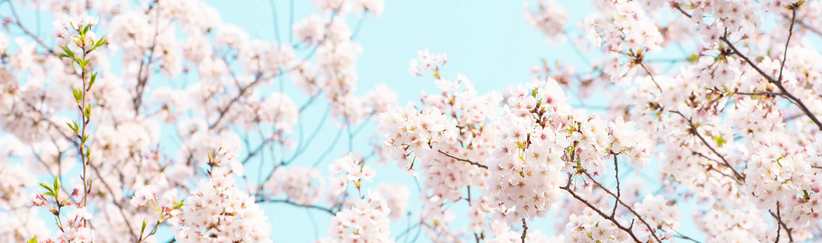 まずは無料相談から